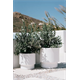 Pot de fleurs HEOS - blanc Prosperplast DBHEN470-S449