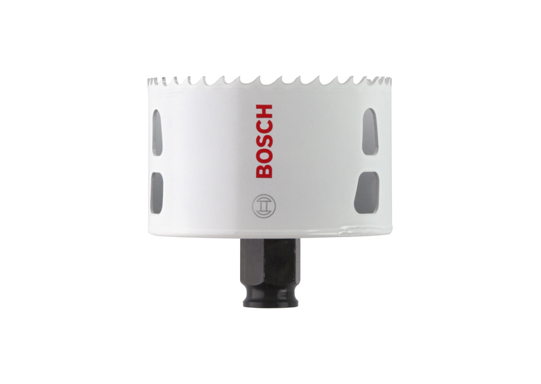 Scie pointue Bosch BIM Progressor