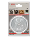 Scie pointue Bosch BIM Progressor