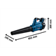 Souffleur de feuilles Bosch GBL 18V-750
