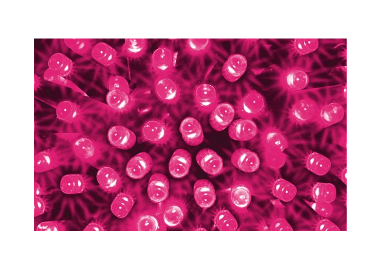 Kit pour sapin de Noël 50 pièces diodes LED blanc Bulinex 37-194