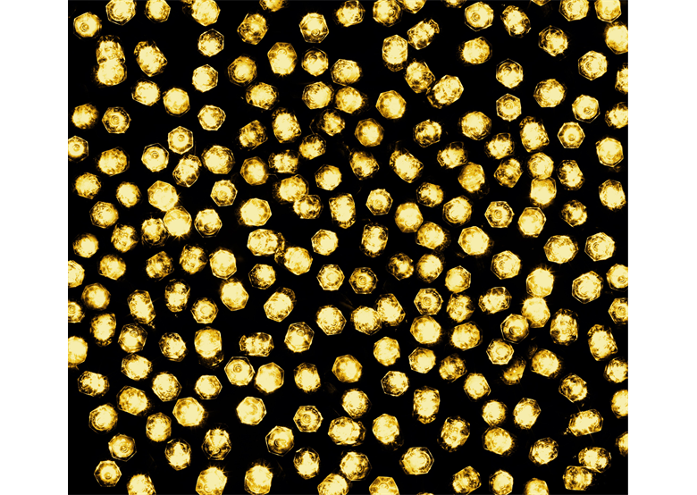 Lumières de Noël LED (multicouleur, 100 pièces) Bulinex 38-478