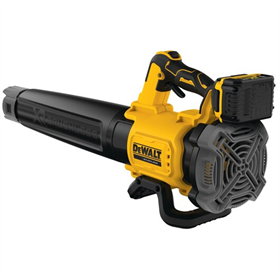 Souffleur de feuilles DeWalt DCMBL562P1
