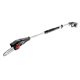 Scie sur perche et taille-haie sur perche Graphite Energy+ 58G098