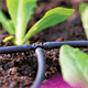 Kit d'irrigation des plantes Hozelock 2802