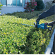 Taille-haie Makita DUH751Z