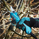 Sécateur électrique sans fil Makita DUP362Z