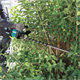 Taille-haie Makita XGT UH004GZ