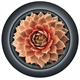 Pot de fleurs HEOS - Anthracite Prosperplast DBHET400-S433