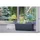 Mini serre de jardin RESPANA PLANTER  SET - anthracite Prosperplast DREP770W-S433