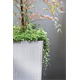 Pot de fleurs RATO SQUARE- umbra Prosperplast DRTS325-440U