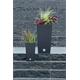 Pot de fleurs RATO SQUARE- umbra Prosperplast DRTS325-440U