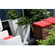 Pot de fleurs RATO SQUARE- umbra Prosperplast DRTS325-440U