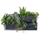 Jardin vertical 3 SET - anthracite Prosperplast IO3W800-S433