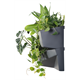 Jardin vertical 3 SET - anthracite Prosperplast IO3W800-S433