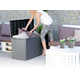 Coffre de jardin BOXE RATO PLUS - anthracite Prosperplast MBRP290-S433