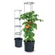 Pot à tomates 12l Prosperplast TOMATO GROWER antracyt
