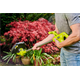 Coupe-bordure sans fil Ryobi ONE+ RY18LT23A-0