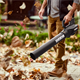 Souffleur de feuilles Worx Power Share WG547E.9