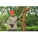 Elagueuse sur perche sans batterie Worx WG349E.9