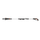Elagueuse sur perche sans batterie Worx WG349E.9